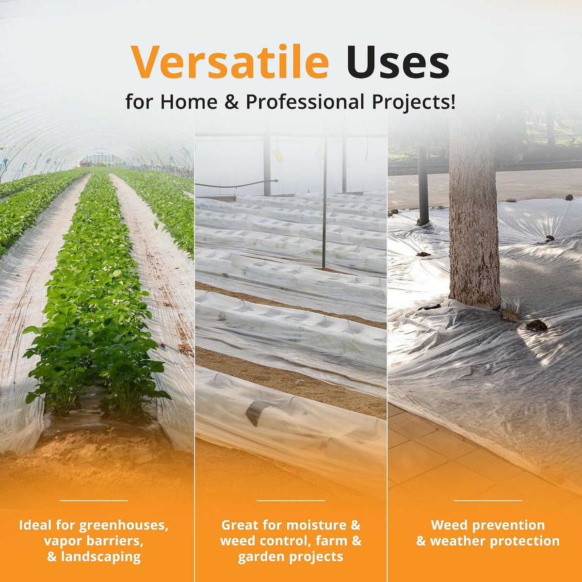 PRIMAX Opaque 6 Mil Plastic Sheeting Roll 10' x 25' Heavy Duty | Waterproof Design, UV Resistant, Suitable for Greenhouse Use, Ideal for Gardening and Construction, Easy to Cut to Size